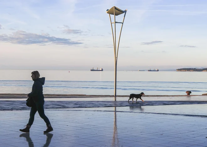 Morda smo izgubili tisto največ, stik z odprtim morjem. FOTO: Jože Suhadolnik/Delo