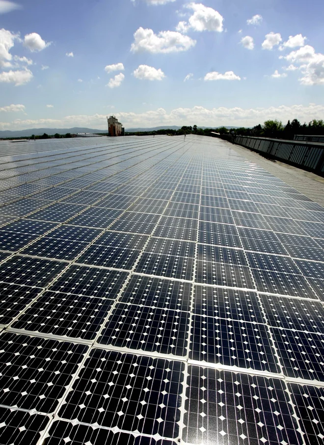 V Nemčiji veliko vlagajo tudi v sončne elektrarne. FOTO: Alex Grimm/Reuters