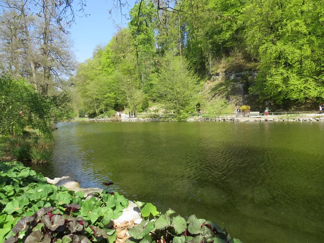 V Arboretumu v prihodnih dneh pričakujejo več obiskovalcev, zlasti med prvomajskimi prazniki. FOTO: Bojan Rajšek/Delo