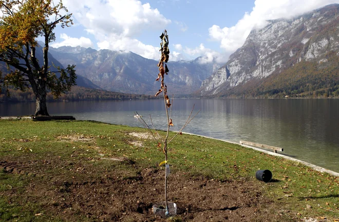 Bohinjsko jezero FOTO: Roman Šipič