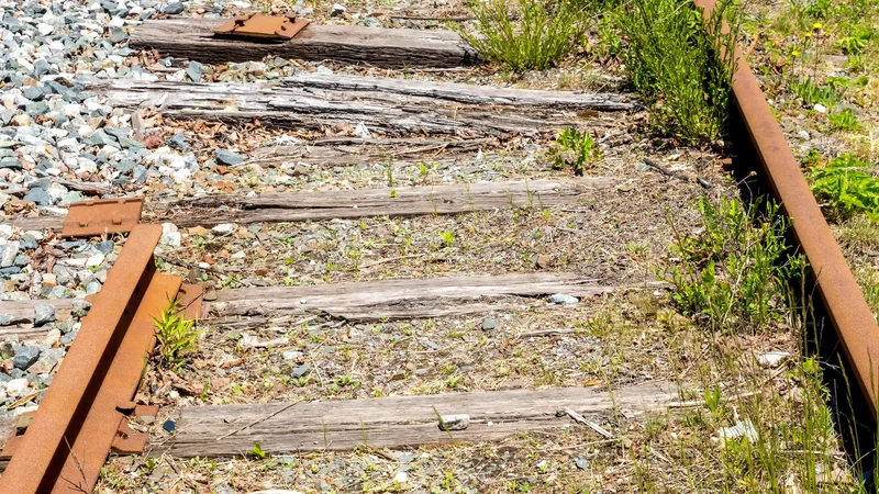 Fotografija: Levici očitno ustreza, da jo vozi desnica. Foto Shutterstock