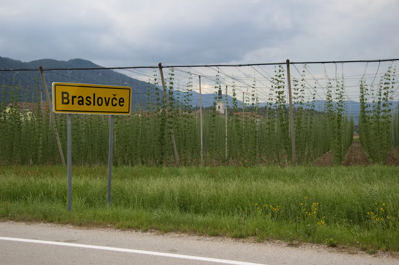 Fotografija: Tretja razvojna os dobiva čedalje več nasprotnikov, ki zahtevajo nov premislek. FOTO: Brane Piano