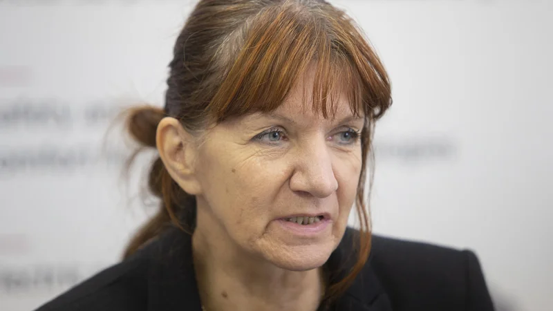 Fotografija: Tanja Mohorič FOTO: Voranc Vogel/Delo