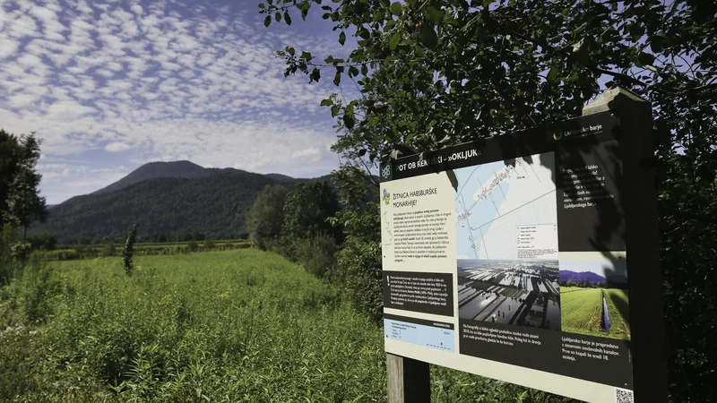 Fotografija: Krajinski park Ljubljansko barje, ki je na južnem pragu glavnega mesta, se v zadnjem času prebuja. FOTO: Jože Suhadolnik/Delo