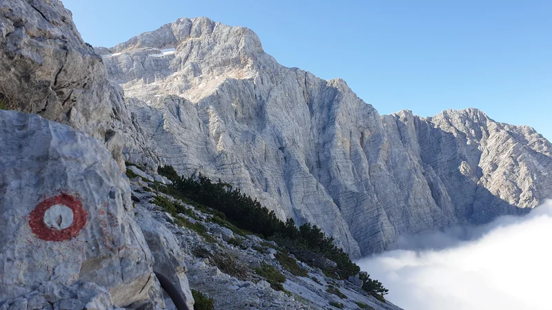 Fotografija: Odslej bomo bolj sproščeno hodili tudi v hribe. FOTO: Matej Planko