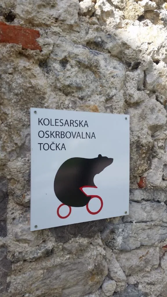 Verjetno je pričakoval anakonde, majmune s <strong>Tarzanom</strong> vred, a sem ga pomiril, da je v gozdu ta čas dovolj druge hrane za zveri. FOTO: Miroslav Cvjetičanin