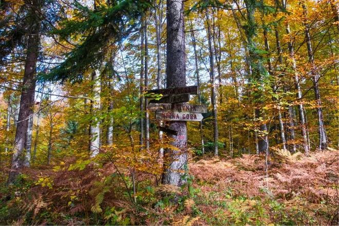 Ne bom skrivnosten, med potjo smo srečali Stari breg, Onek, Podstenje, Koprivnik, Laze, Cvišlerje …FOTO: Miroslav Cvjetičanin