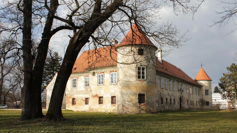 Fotografija: Občina Beltinci je v grad vložila že pol milijona evrov lastnega denarja. FOTO: Jože Pojbič/Delo