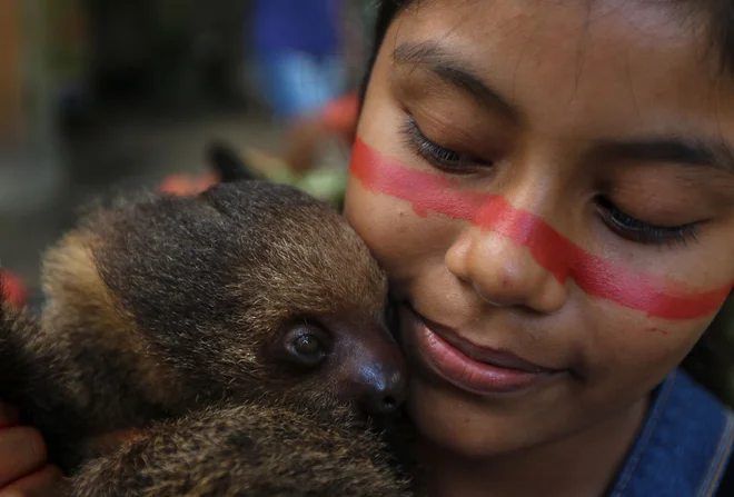 Deklica iz staroselskega ljudstva v brazilski skupnosti Wakiru, zahodno od Manausa, v zvezni državi Amazonas, k sebi stiska njenega hišnega ljubljenčka lenivca. Po besedah poglavarja skupnosti enajst ljudi kaže simptome COVID-19. Lokalne in državne vlade so izjavile, da staroselcem ne bodo pomagale, zato se obračajo na predznanje o naravi in naravnem zdravljenju. FOTO: Ricardo Oliveira/Afp<br />
&nbsp;