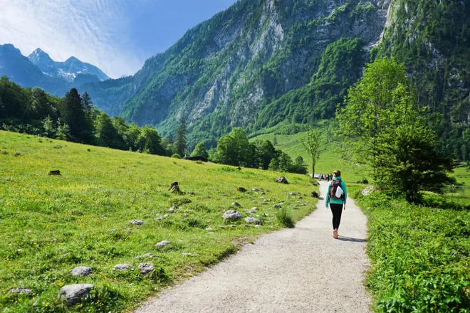 Pravo mešanico si naj vsak zmeša sam … FOTO: Shutterstock