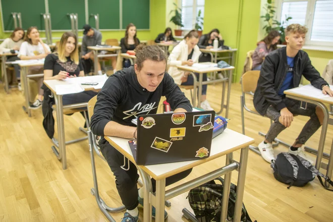 Lahko, da bodo učenci in dijaki šli 1. septembra v šole z zdravstvenovarstvenimi omejitvami ali da bo uveden hibriden način dela &ndash; delno na daljavo, delno v šoli. FOTO: Voranc Vogel/Delo