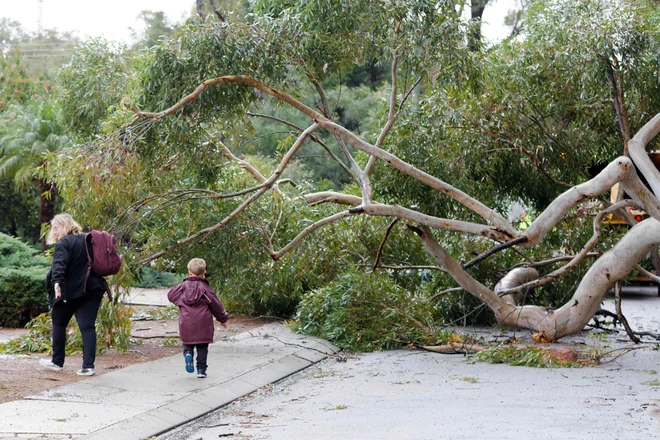 FOTO: Trevor Collens/AFP
