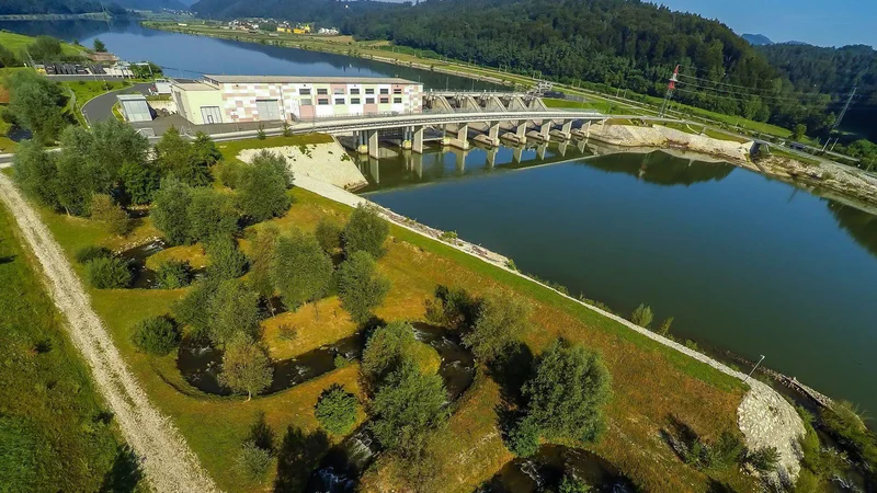 Fotografija: HESS se je prostoru na območju HE Arto-Blanca prilagodil tudi z ribjimi stezami; na območju Mokric bo treba upoštevati drstišča platnice. FOTO: arhiv HESS