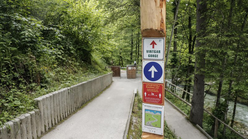 Fotografija: Po Vintgarju vodi enosmerna pot, novost so tudi opozorila o primerni razdalji med obiskovalci. FOTO: Uroš Hočevar