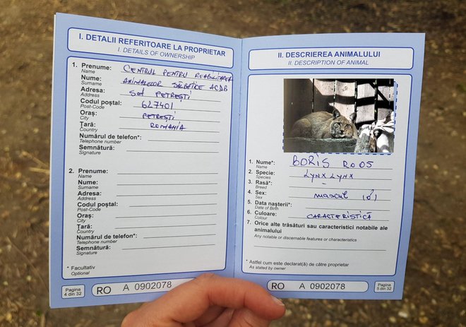 Borisov potni list. FOTO: Life Lynx