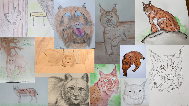 Risbe, ki so jih pred prihodom Borisa narisali učenci Osnovne šole Sodražica. FOTO: Life Lynx