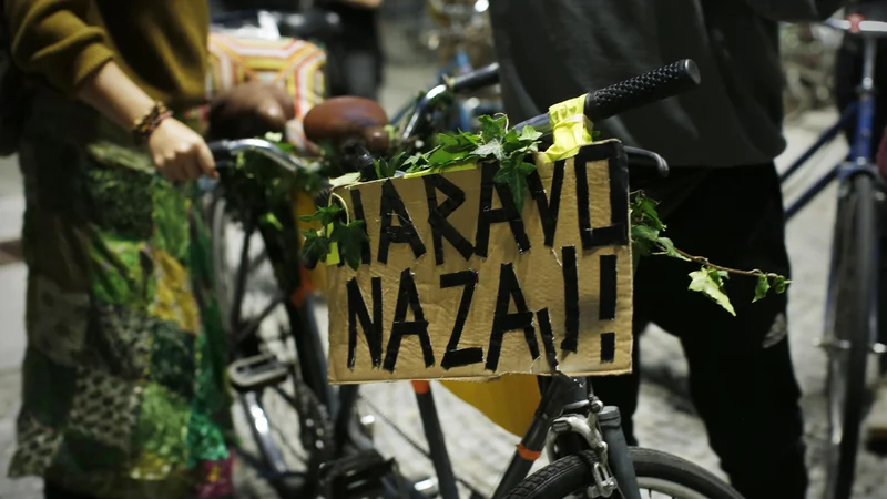 Fotografija: Kljub protestom je so sporne spremembe zakona o ohranjanju narave v parlamentu prejele večino glasov. FOTO: Jure Eržen/Delo