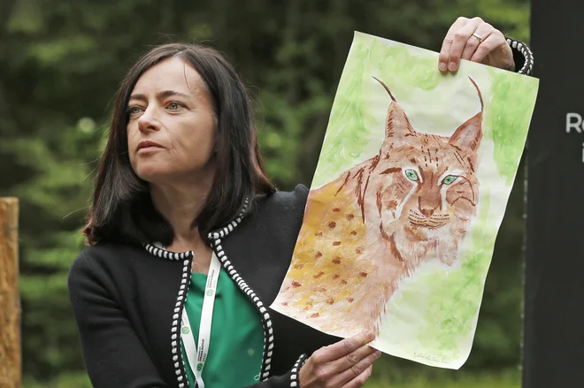 Učiteljica biologije iz osnovne šole Sodražica Mojca Vesel z eno od risb, ki so jo Borisu v dobrodošlico narisali učenci. FOTO: Jure Eržen