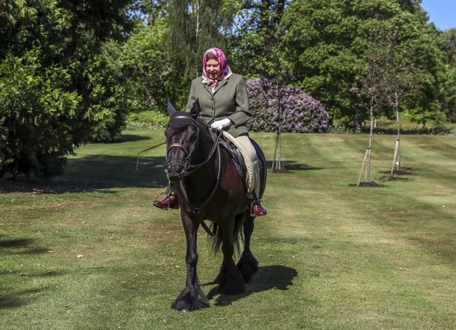 94-letna kraljica na posestvu gradu Windsor, kamor se je umaknila ob izbruhu pandemije koronavirusa. FOTO: Pool Reuters