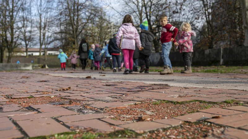 Fotografija: Izvajalci bodo izvedli 18 programov počitniškega varstva, namenjenih otrokom od 1. do 5. razreda osnovnih šol. FOTO: Voranc Vogel/Delo