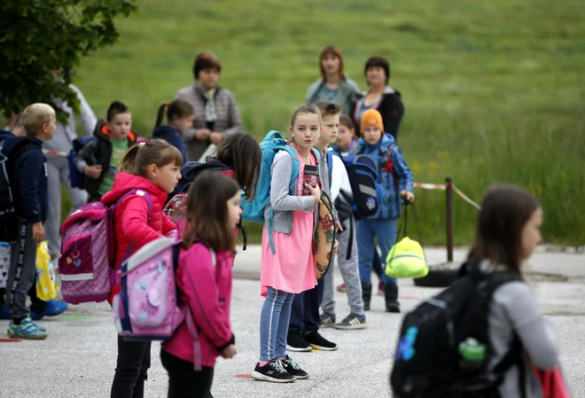 V šolah pravijo, da je dosledno upoštevanje priporočil nemogoče, direktor NIJZ Milan Krek pa pravi, da večina šol priporočila upošteva. FOTO: Matej Družnik/Delo