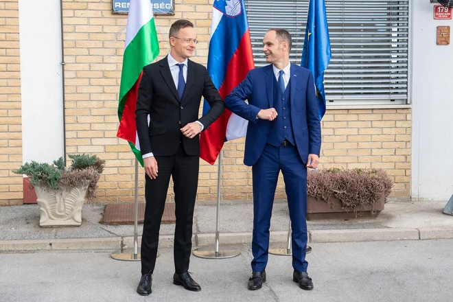 Srečanje slovenskega in madžarskega ministra za zunanje zadeve Anžeta Logarja in Pétra Szijjárta Foto Aleš Cipot