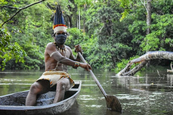 Domorodna plemena so bila najboljši čuvarji tropskih gozdov, vendar jih zdaj izrinjajo interesi kapitala.  FOTO: Tatiana De Nevo/AFP