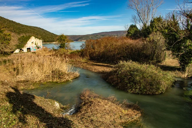 Izviri ustvarjajo sladkovodno laguno. FOTO: Aleš Nosan