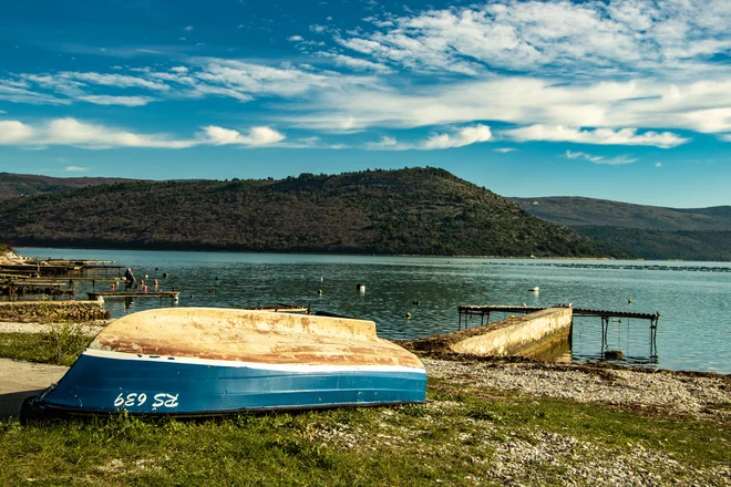 Pozabljeno življenje&nbsp;FOTO: Aleš Nosan