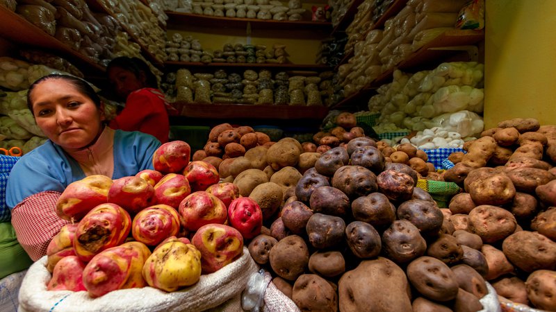 Fotografija: Na perujskih tržnicah je krompir prava paša za oči. FOTO: Shutterstock
