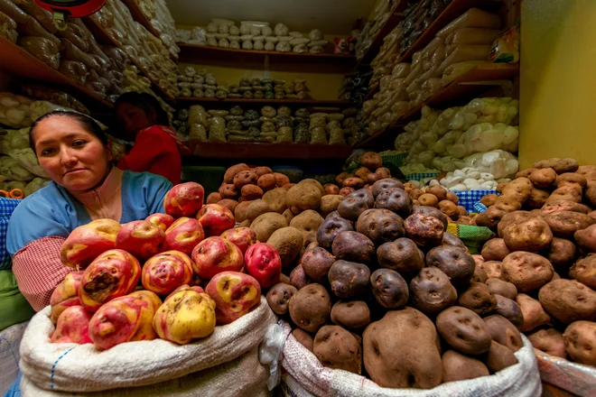 Na perujskih tržnicah je krompir prava paša za oči. FOTO: Shutterstock
