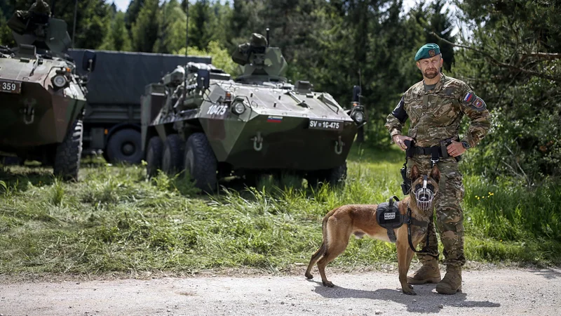 Fotografija: FOTO: Blaž Samec/Delo