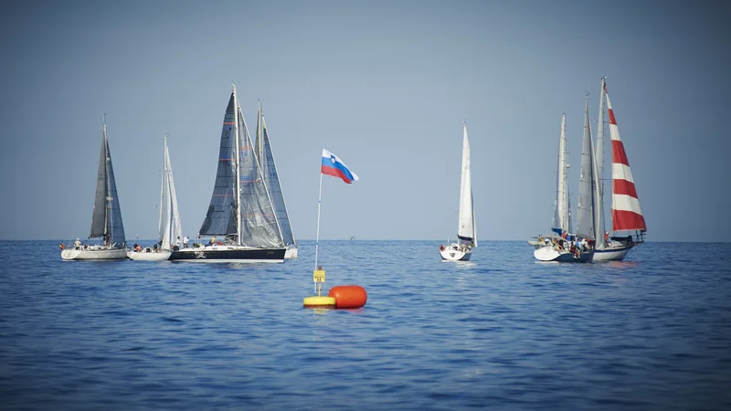 Fotografija: Morje, plaža, počitnice, veliko časa za branje knjig, še več časa za kuhanje, možgani na paši in hitro se kaj pozabi... Foto Zrnec Primož