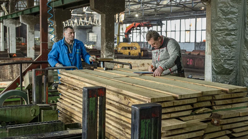 Fotografija: Interventni zakoni niso posegli v določila delavske zakonodaje, dopust pa mora biti nemoteno zagotovljen, pravijo na inšpektoratu in pravniki. FOTO: Voranc Vogel