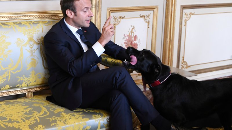Fotografija: Emmanuel Macron s svojim psom Nemom. FOTO: Reuters
