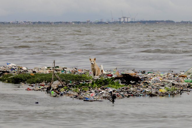 Onesnaženo morje pri filipinskem mestu Paranaque City. FOTO: Reuters