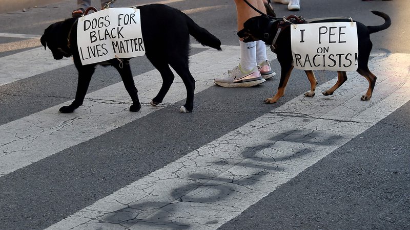 Fotografija: Utrinek s protestov proti rasizmu in policijskemu nasilju v Washingtonu. FOTO: Olivier Douliery/AFP