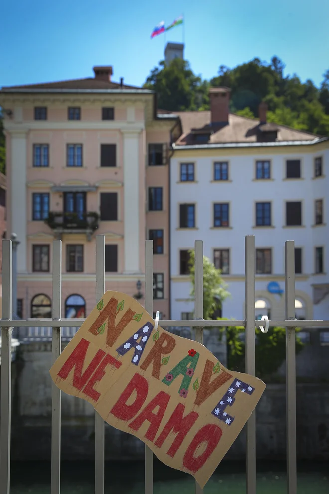 Nevladniki narave ne dajo. FOTO: Jože Suhadolnik/Delo