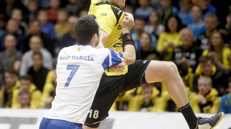 Fotografija: David Miklavčič je vir izkušenj v moštvu Gorenja. FOTO: Roman Šipić