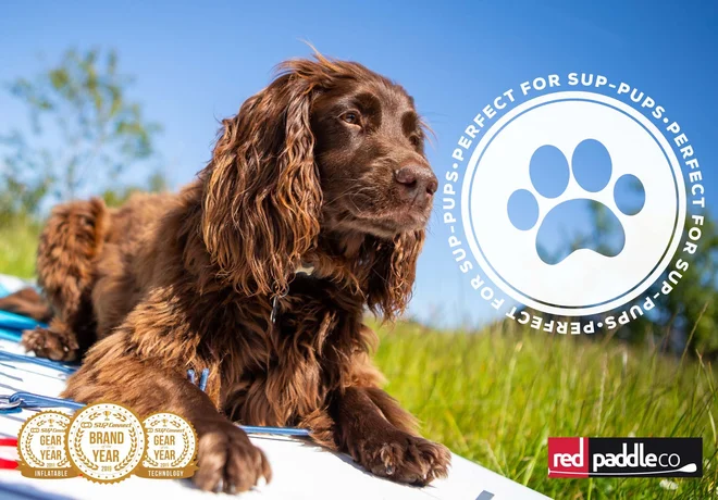 Sup pup Foto: Red Paddle Co