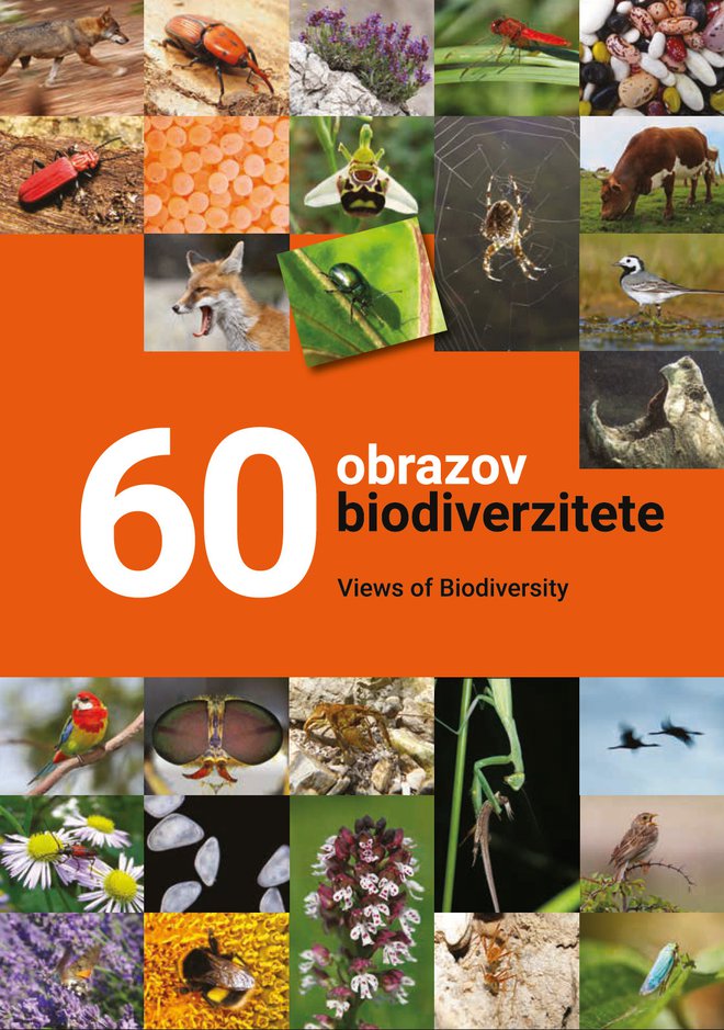 Darilo Nacionalnega inštituta za biologijo Sloveniji ob njegovi 60-letnici