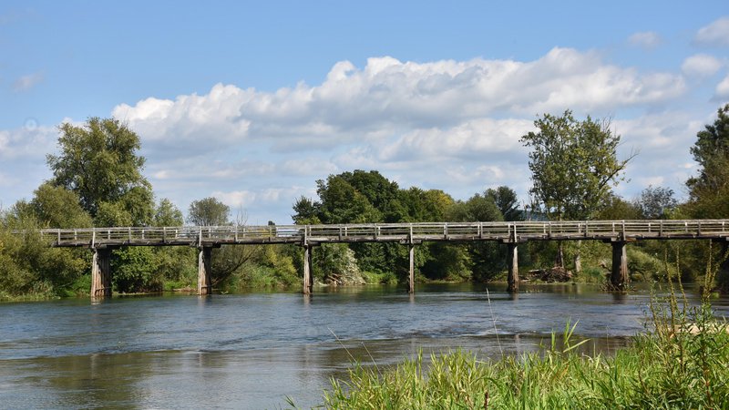 Fotografija: Sto osem metrov dolg leseni most bodo obnovili. FOTO: Občina Brežice
