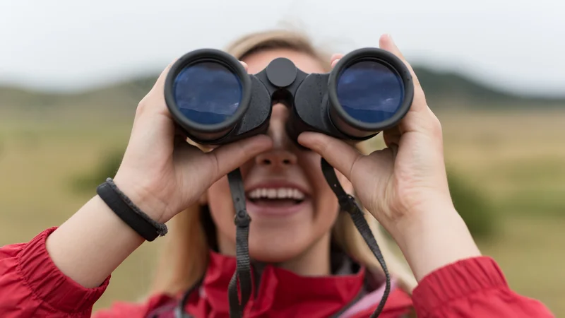 Fotografija: Morda bi lahko ornitolog prepoznal, katero bitje moti javni red in mir. FOTO: Shutterstock