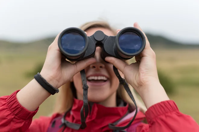 Morda bi lahko ornitolog prepoznal, katero bitje moti javni red in mir. FOTO: Shutterstock