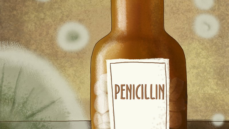 Fotografija: Penicilin je prvi antibiotik, zaradi razširjenosti in pogoste uporabe pa je bistveno manj učinkovit kot ob odkritju. FOTO: Shutterstock