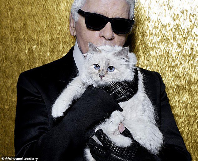 Modni mag in njegova mačka Choupette, ki bo podedovala velik del njegovega premoženja, ocenjenega na 150 milijonov evrov FOTO: arhiv ChoupettesDiary