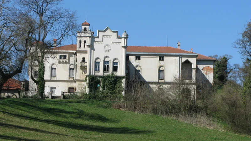 Fotografija: Pravda zaradi zemljišč okoli dvorca Jelšingrad, kjer so nekoč igrali golf, bo očitno še trajala. FOTO Špela Kuralt/Delo