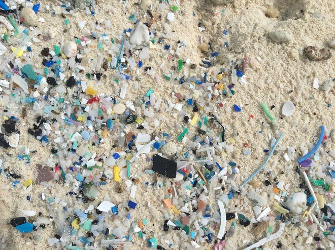 Po ocenah raziskovalcev je na otočju kar 238 ton plastičnih odpadkov. FOTO: Jennifer Lavers/AFP