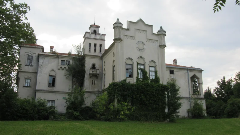 Fotografija: Dvorec Jelšingrad, v katerem sta dva izjemna orientalska stropa, nujno potrebuje obnovo. FOTO: Špela Kuralt/Delo