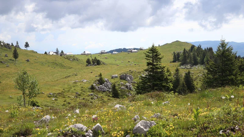 Fotografija: Mala Planina FOTO: PZS